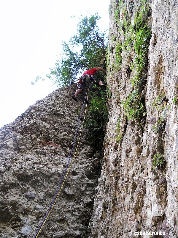 Primer llarg, molta herba i poca roca (Foto: Cesc R.)